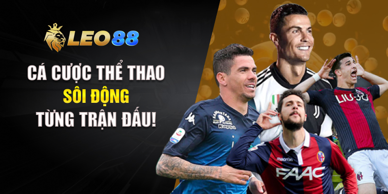 Cá cược thể thao – Sôi động từng trận đấu!